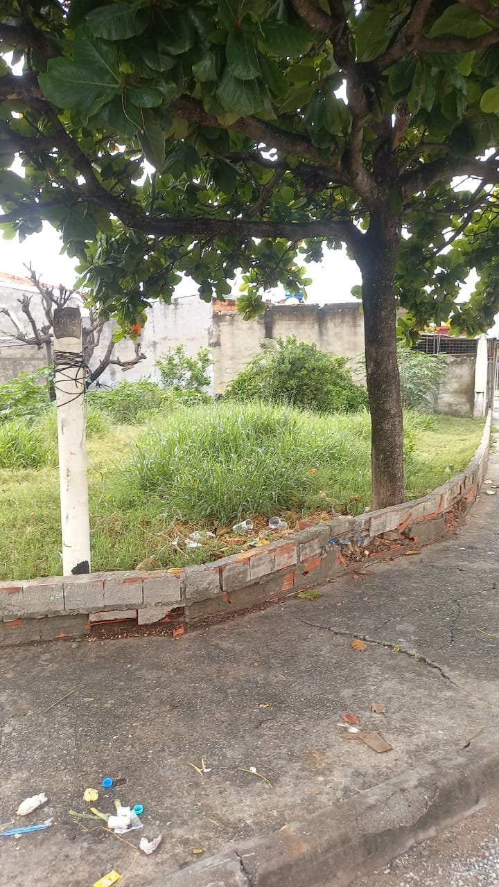 Terreno pra investidor
