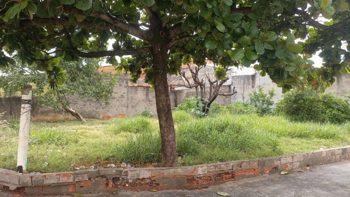 Terreno pra investidor — foto 3